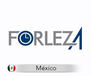 Tu pyme digital Diseño gráfico diseño de logotipo logo Forleza Mexico