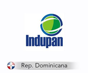 Tu pyme digital Diseño gráfico diseño de logotipo logo Indupan