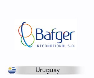 Tu pyme digital Diseño gráfico diseño de logotipo logo Bafger internacional